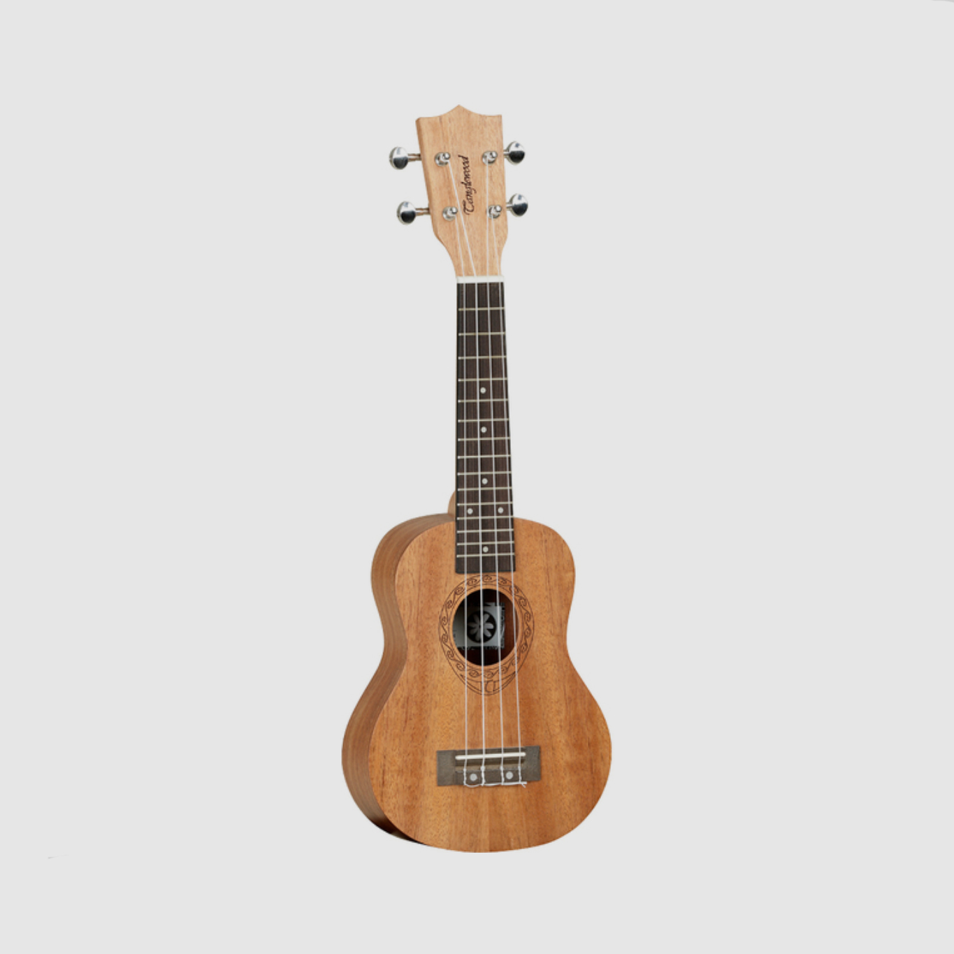 Tanglewood TWT1